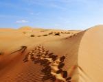 Wüste in Oman - Touristen in Oman können wieder das Kurzzeitvisum erwerben.
