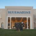 Jaz Bluemarine
