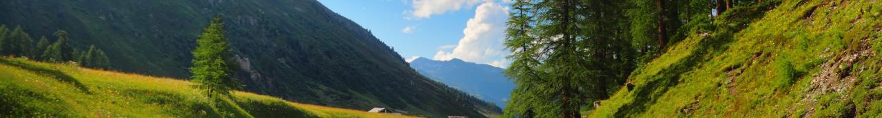 Schweiz