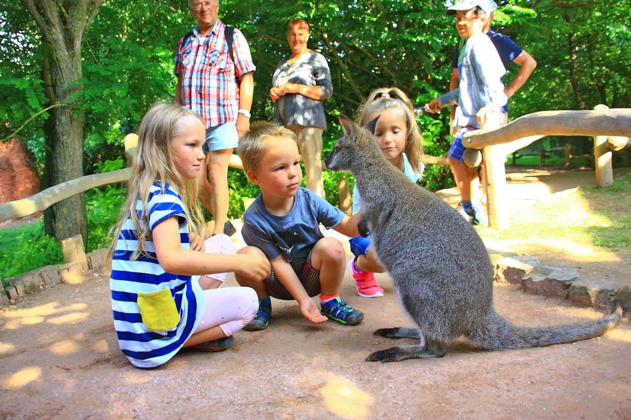 Weltvogelpark Marlow