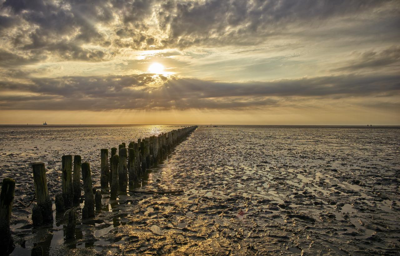 Dithmarschen, Nationalpark Wattenmeer - Schleswig-Holstein Dithmarschen, Nationalpark Wattenmeer - Schleswig-Holstein