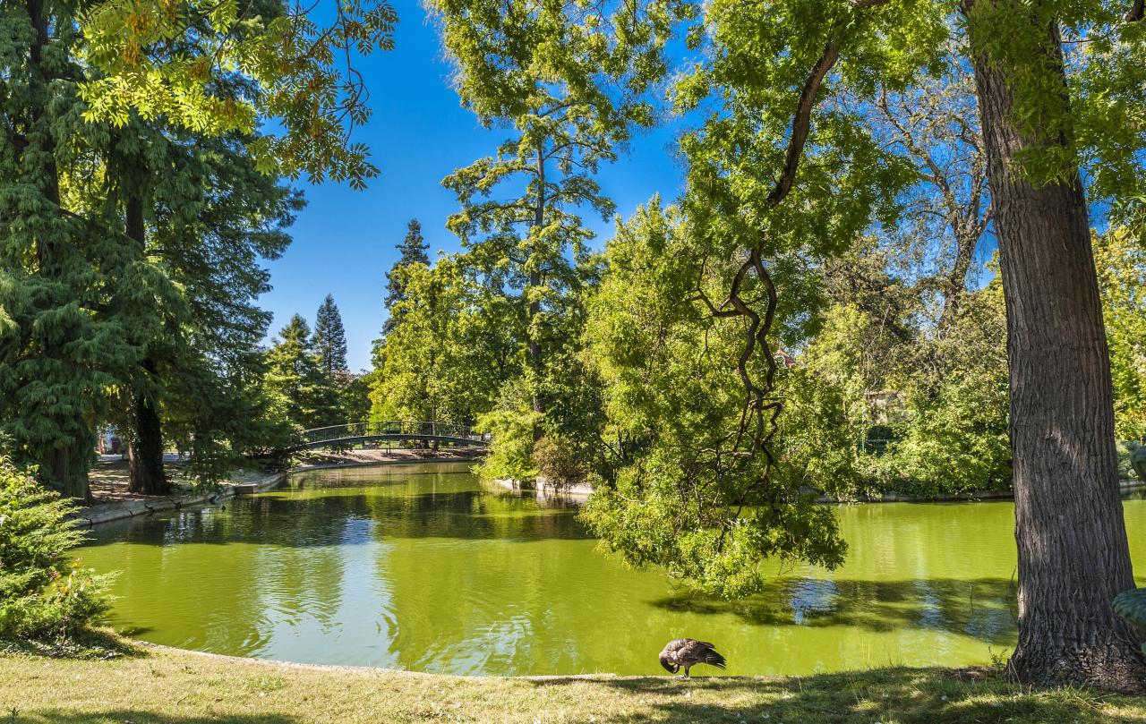 Park, See - Bordeaux Park, See - Bordeaux
