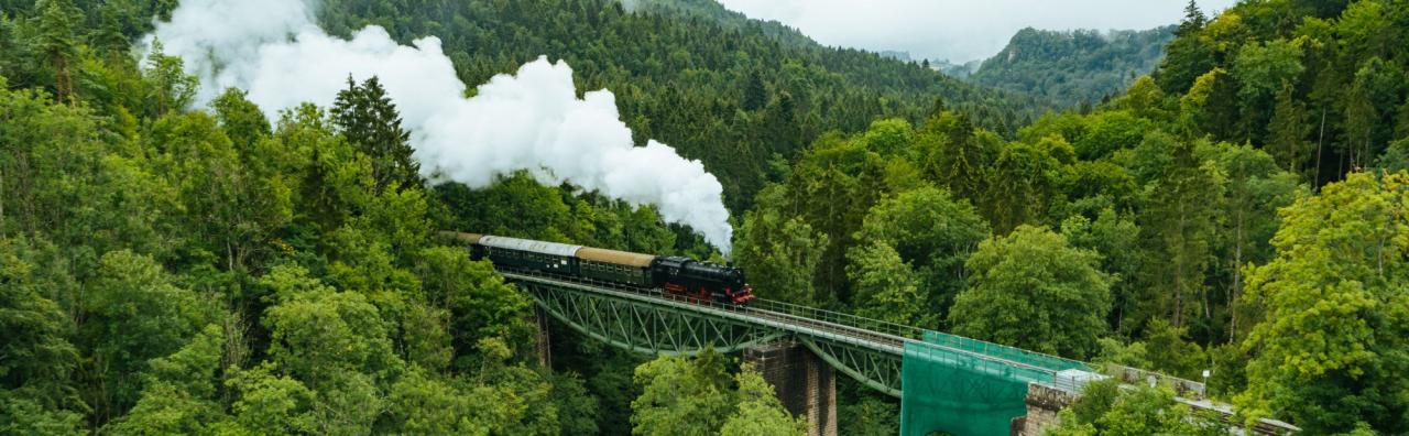 Dampflok Schwarzwald_Bahnreisen_Strecke Baden-Bodensee