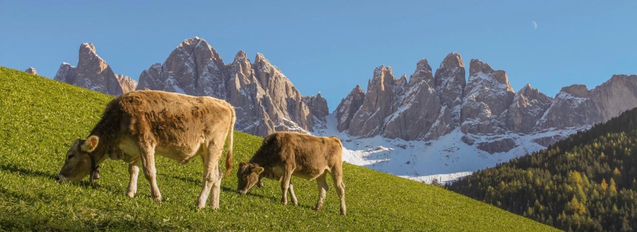 Themenwelt Herbsturlaub: Südtirol
