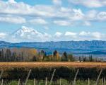 Argentinien: Weinregion Mendoza - Argentinien öffnet seine Grenzen für internationale Reisende ab dem 1. November 2021.