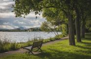 Bank, Park, See Radolfzell Am Bodensee