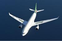Die Lufthansa hat das beste Angebot im Rennen um Alitalia vorgelegt. Foto: Alitalia Alitalia Airbus A330 im Flug