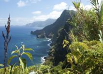 Madeira Madeira