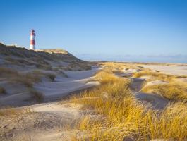 Ansicht vom Lister Ellenbogen auf Sylt mit Leuchtturm und Dünen.