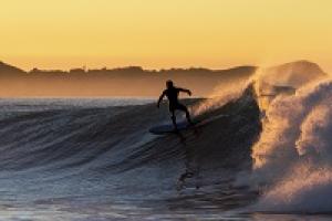 Surfer