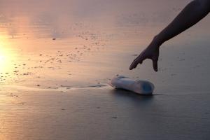 Strand Flasche Müll