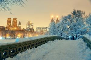 usa-new-york-winter