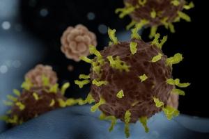 3D-Modell des Coronavirus vom Ausbruch 2020.