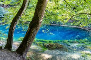 See Blautopf Blaubeuren