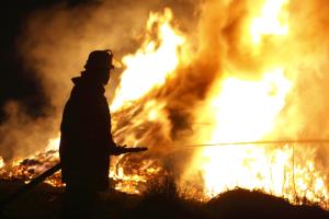 Buschbrand Feuer Feuerwehrmann