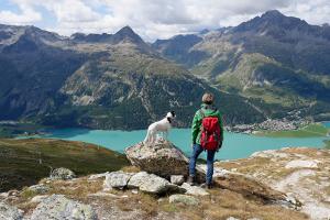 hund+wandern+berge