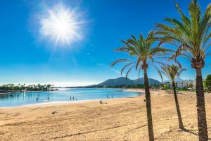 Mallorca Alcudia Strand