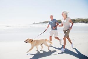 Hund mit Senioren am Strand