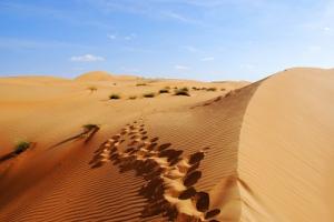 Wüste in Oman