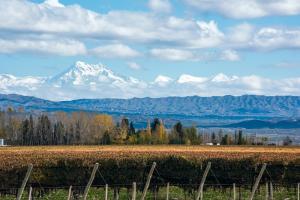 Argentinien: Weinregion Mendoza
