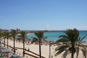 Spanien: Mallorca Can Pastilla Strand Palmen
