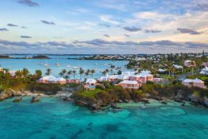 Bermuda Insel Palmen Karibik