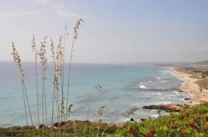 Edelweiss verbindet Zürich im Sommer 2020 mit Menorca. Strand auf Menorca