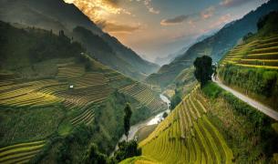 Vietnam: Reisterrasse