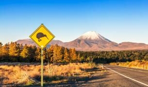 Neuseeland: Tongariro