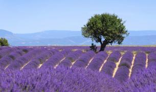 Provence-Alpes-Côte d'Azur Provence-Alpes-Côte d'Azur
