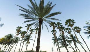 The Broadmoor Miami Beach