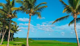The Westin Puntacana Resort & Club