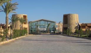 Shoni Bay