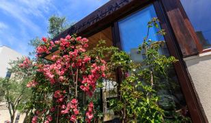 Hotel Harmony by Aycon