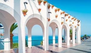 Be Live Adults Only Marivent Be Live Adults Only Marivent