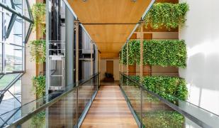 ALEGRIA Caprici Verd ALEGRIA Caprici Verd