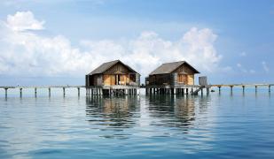 Gangehi Island Resort