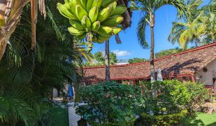 Villa Botero By Casa Mojito Villa Botero By Casa Mojito