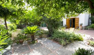 B&B Lumachella