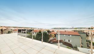 Stella Adria Stella Adria