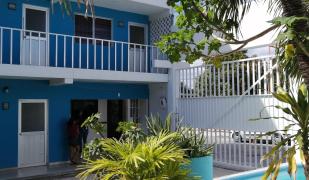 Blue Coconut Cancun