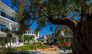 Flegra Palace Hotel Flegra Palace Hotel