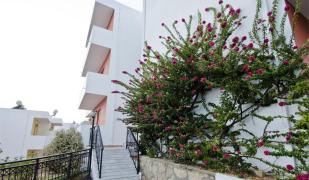 Pefkos (Pefki)