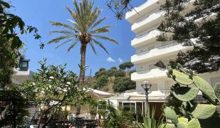 Delle Palme