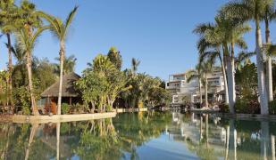 Tabaiba Princess Tabaiba Princess