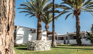 Playa Del Ingles