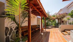 Ona los Claveles Ona los Claveles