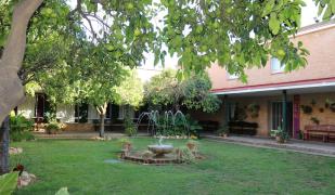 Lantana Garden