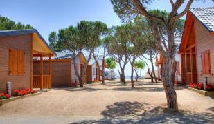 Camping Bon Repòs - Camping & Bungalowpark Camping Bon Repòs - Camping & Bungalowpark
