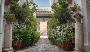 Los Patios